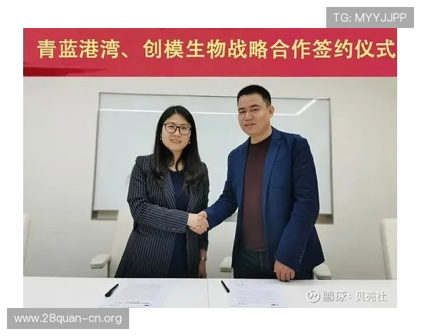 南宫旗下28圈：结合平台资源打造高效的游戏玩家成长与交流生态系统